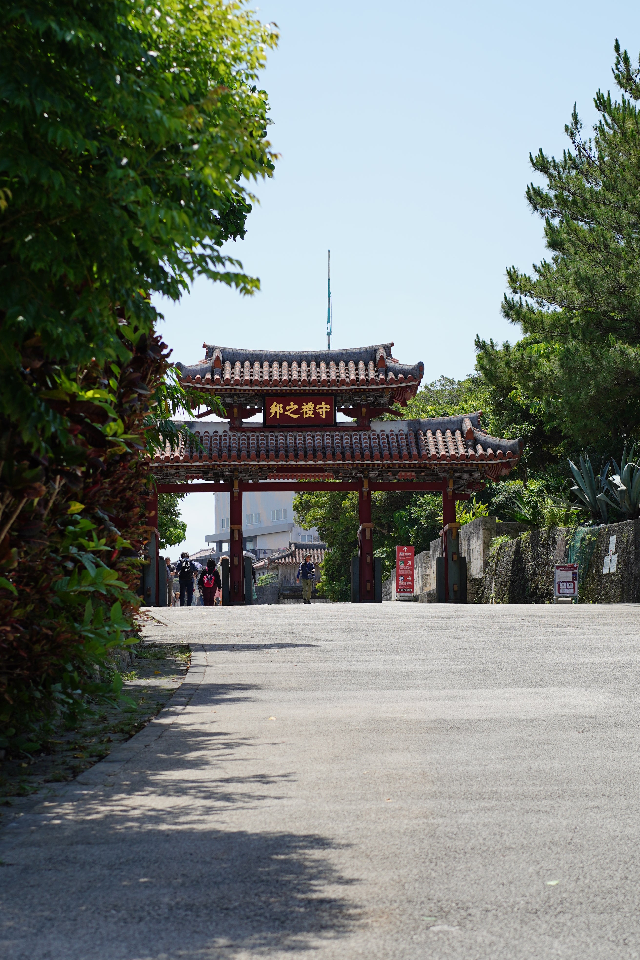 DSC07092.jpg?v=1685423898